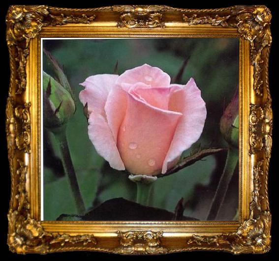 framed  unknow artist Still life floral, all kinds of reality flowers oil painting  212, ta009-2